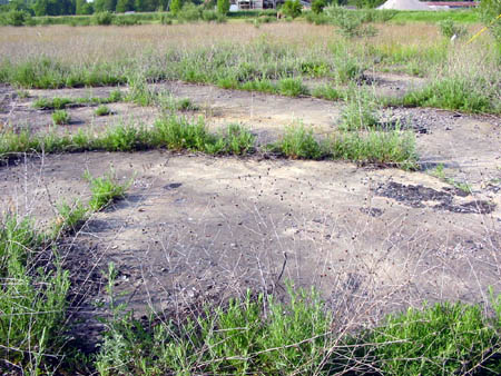 Scio Drive-In Theatre - Snack Bar Foundation - Photo From Water Winter Wonderland